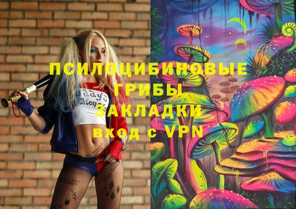 кокс Алексин