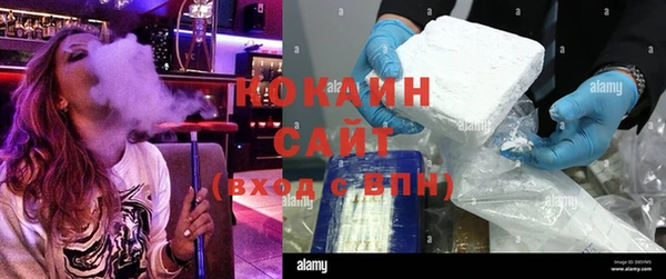 кокс Алексин